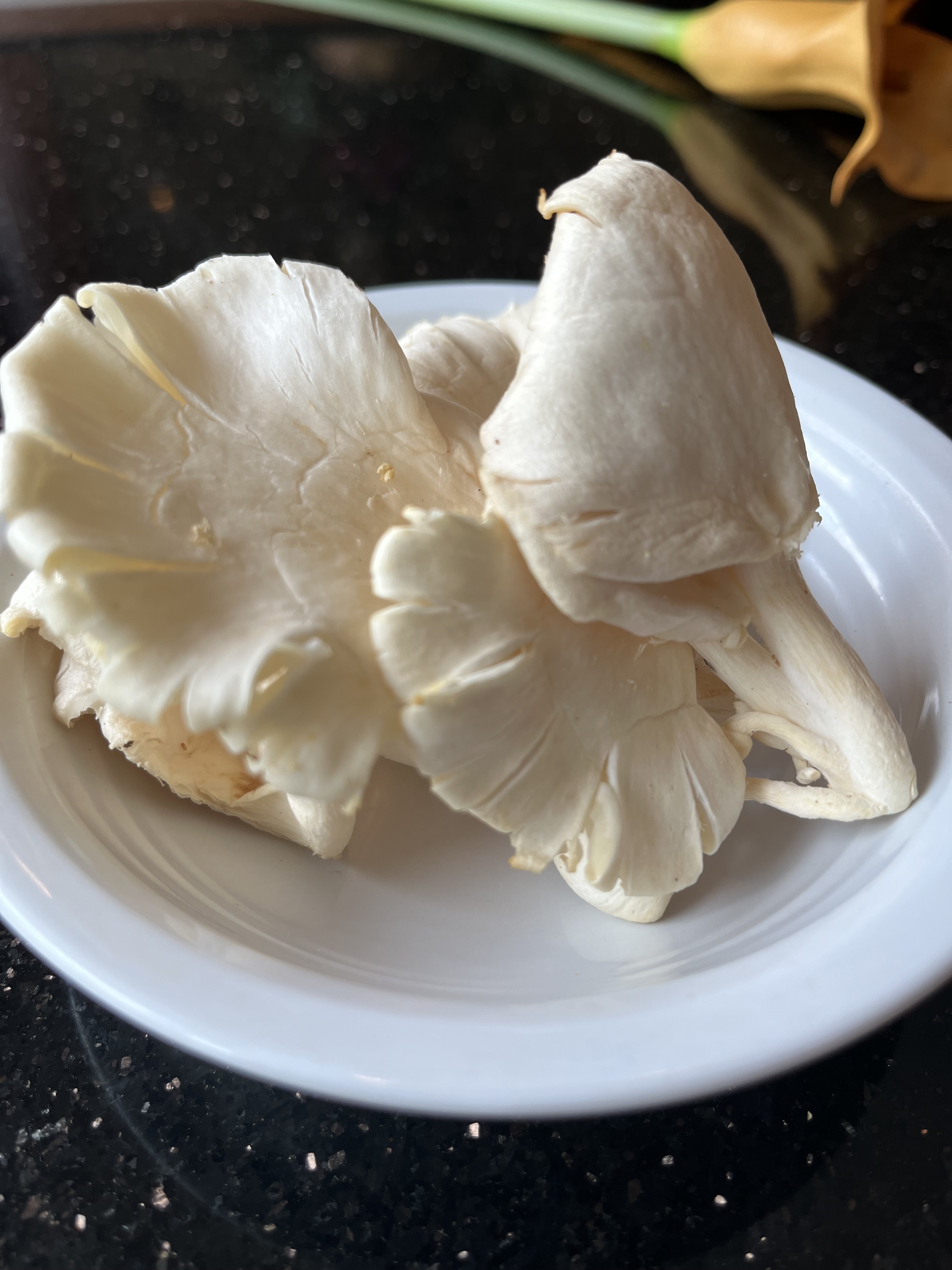 Oyster Mushroom Hanamasa